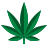 icon-marijuana icon-marijuana
