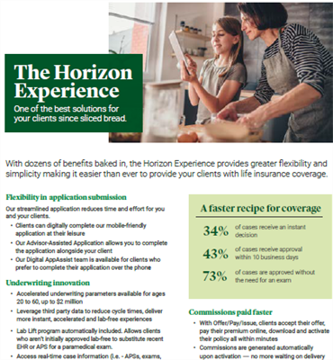 Horizon-Benefits-Overview-Flyer-Screenshot Horizon-Benefits-Overview-Flyer-Screenshot